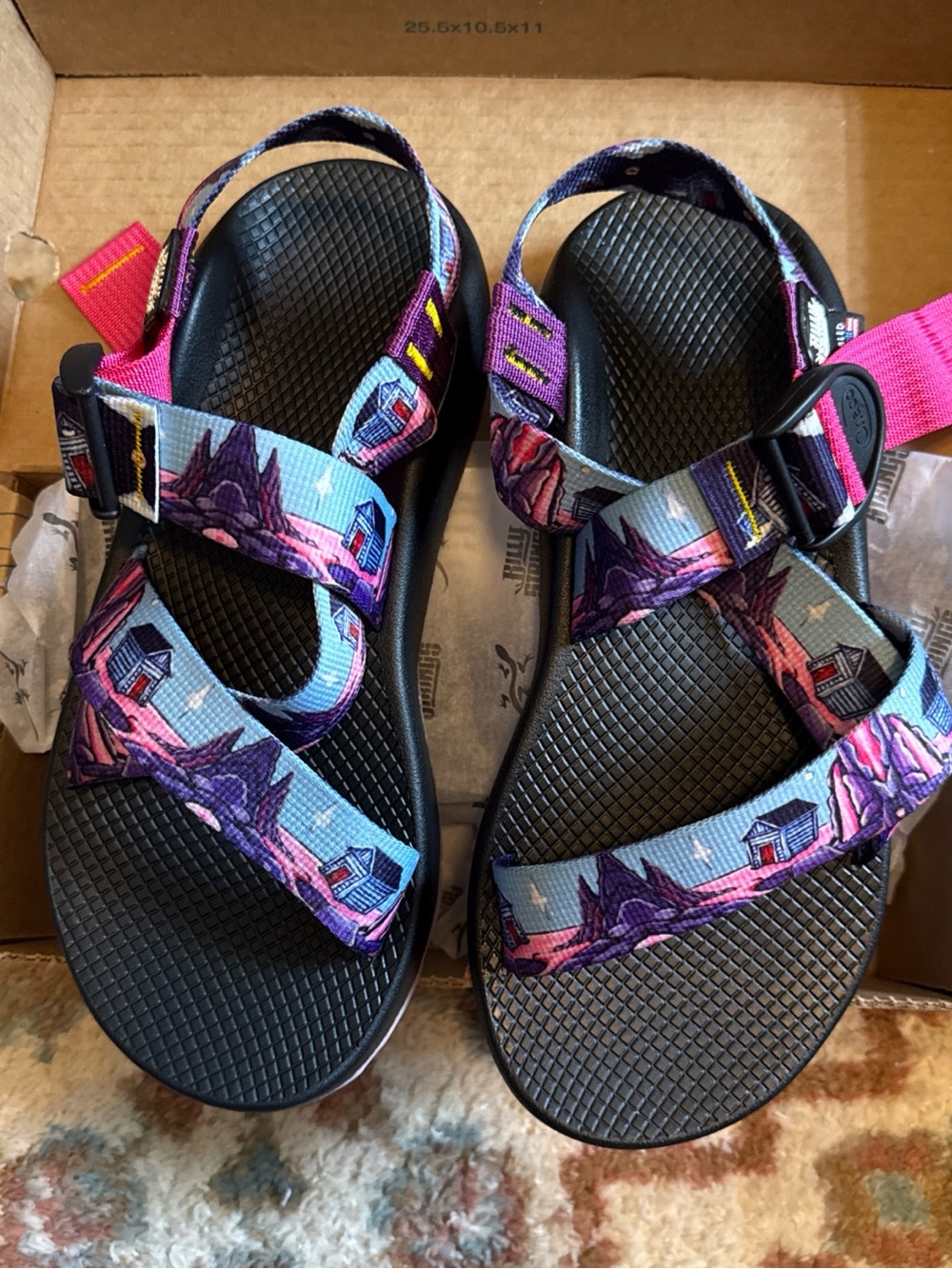 Chaco X Billy Strings Mens Mega Z Sandal Size 9 house Edition new in box